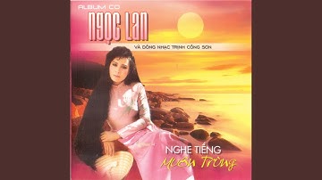 Những Con Mắt Trần Gian