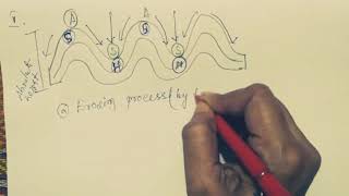 Landscape Evolution in Folded Structure (Lesson -2)