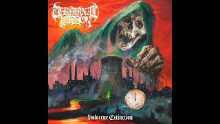 Terminal Nation - Cognitive Dissonance