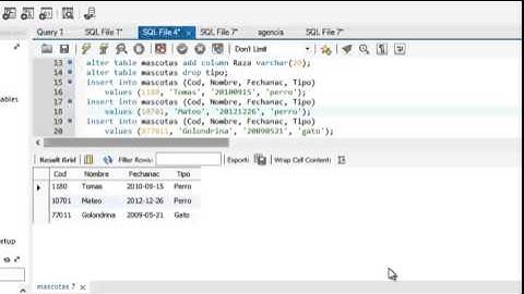 Uso de las Sentencias INSERT y UPDATE en Mysql