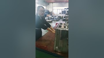 Plastic Injection Mold Ejector System Checking-1 Girl 1 Hand 1 Precision 2 Shot Mold