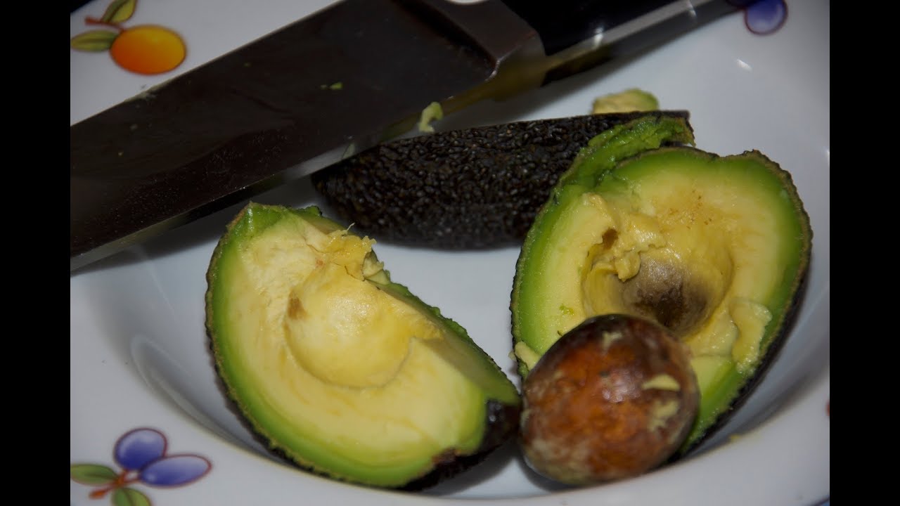 Avocadokern einpflanzen: So keimt er direkt in Erde