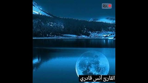 تلاوة رائعه بصوت القارئ الشبل الصغير ارح سمعك