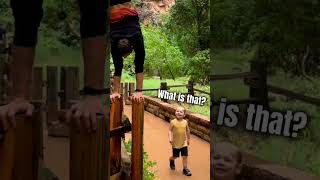 Kid Discovers Calisthenics