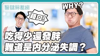 已經少吃還一直發胖，是內分泌失調嗎？｜醫鍵解壓縮S3EP05