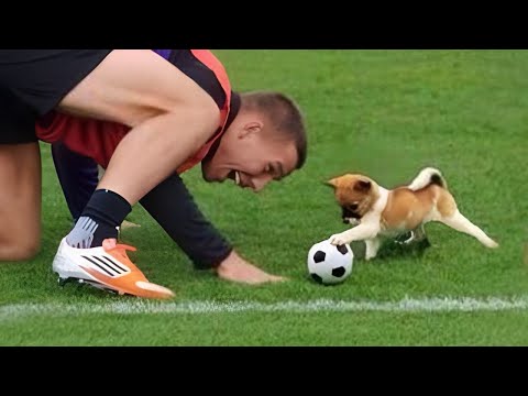 When your dog is better at sports than you