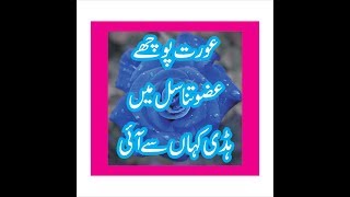 Hard Erection Formula