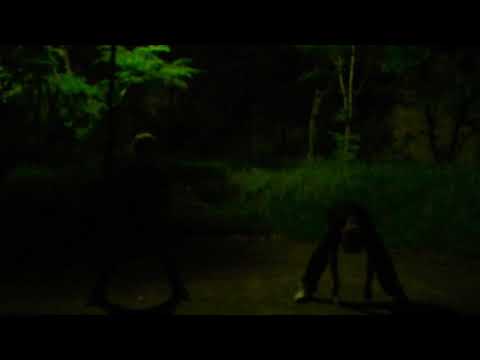 百鬼夜行でヲタ芸した - 百鬼夜行でヲタ芸した