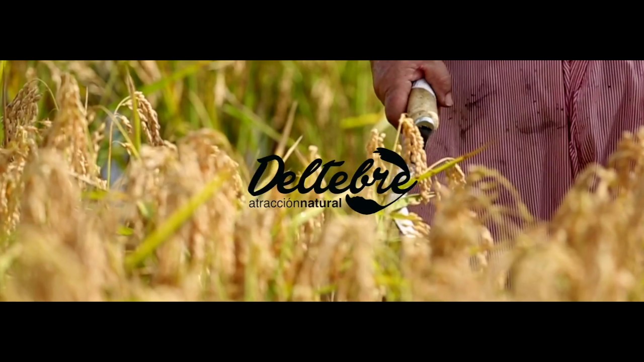 Deltebre, atracción natural