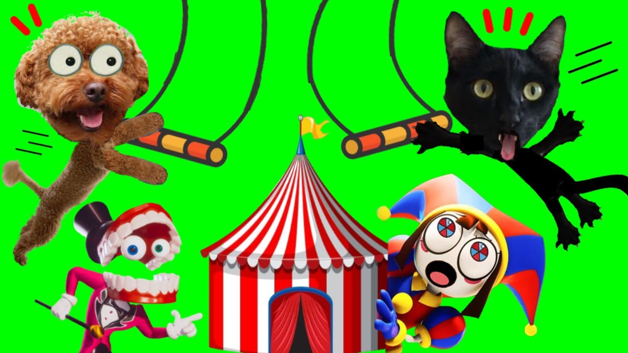 CREO THE AMAZING DIGITAL CIRCUS con Pomni y Jax vs juegos para gatos Luna y Estrella / DIY
