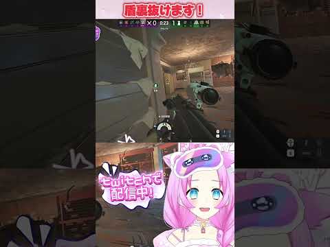 ガジェットなんて入りません！#vtuber #ゲーム実況 #シージ #r6s #rainbow6siege