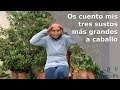 🐴 Os cuento DOS sustos y UNA caída a caballo🐴