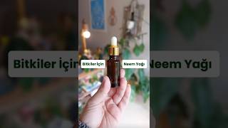 Bitkiler İçin Neem Yağı