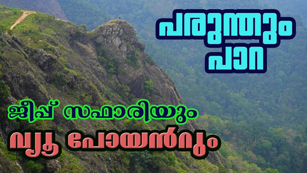 PARUNTHUMPARA VIEW POINT AND JEEP SAFARI || EAGLE ROCK || IDUKKI