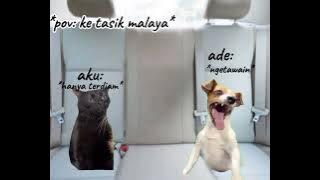 yo pov:pergi ke tasik malaya #kucinglucu  #meme  #trendingtiktok #ramein
