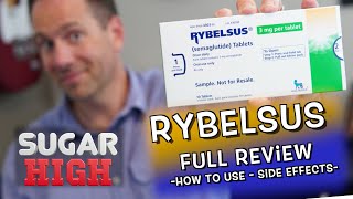 Ozempic in a PILL?!  Rybelsus Full Review from a Diabetes PA