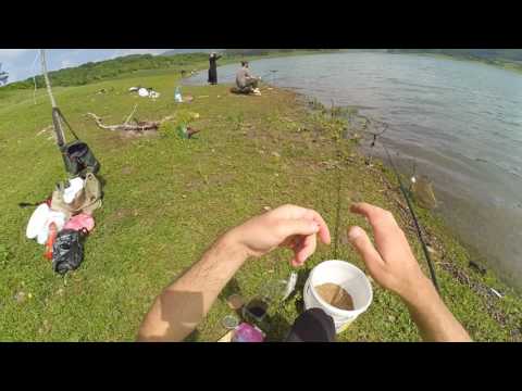 თევზაობა სიონზე ფიდერით 2017 /  Ловля карася на фидер