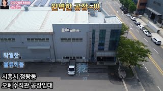 [277]  오폐수직관 시흥공장임대 시흥시 정왕동 시화ic 남안산ic 서안산ic 정왕ic 인근  공장임대 정왕공장임대  영웅부동산중개 010-7101-9360