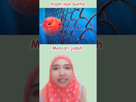 kisah ikan buntal mencari jodoh #shorts #storytelling #alurcerita #shortvideo