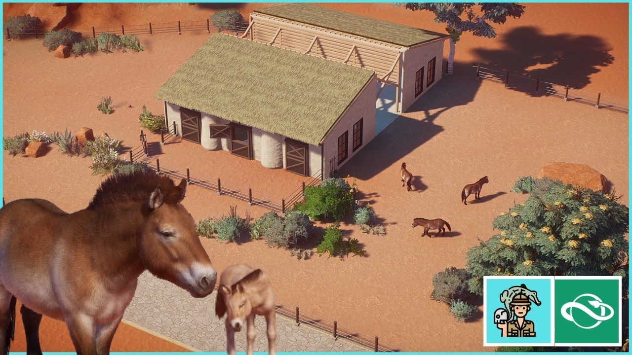 Przewalski's Horse Habitat and Modern Stables Zoo YouTube