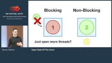 Tanner Nelson - Vapor State Of The Union