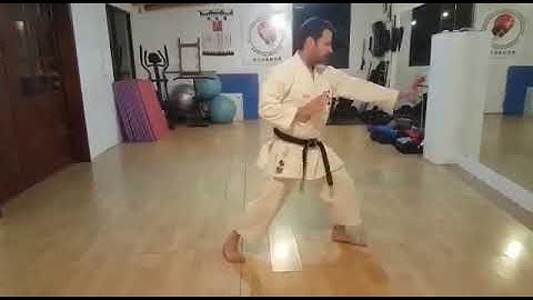 Kata: Another Henka kata: Heian shodan -Gyaku, Tenshin and Ju-no kata modification by Sensei Enock