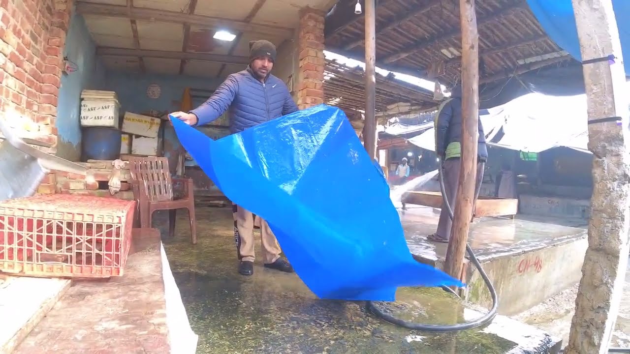 4K ASMR Fish Market sultan Puri