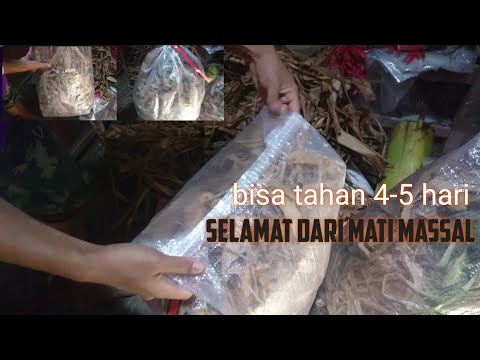 Video: Cara Mengemas Karung Tinju