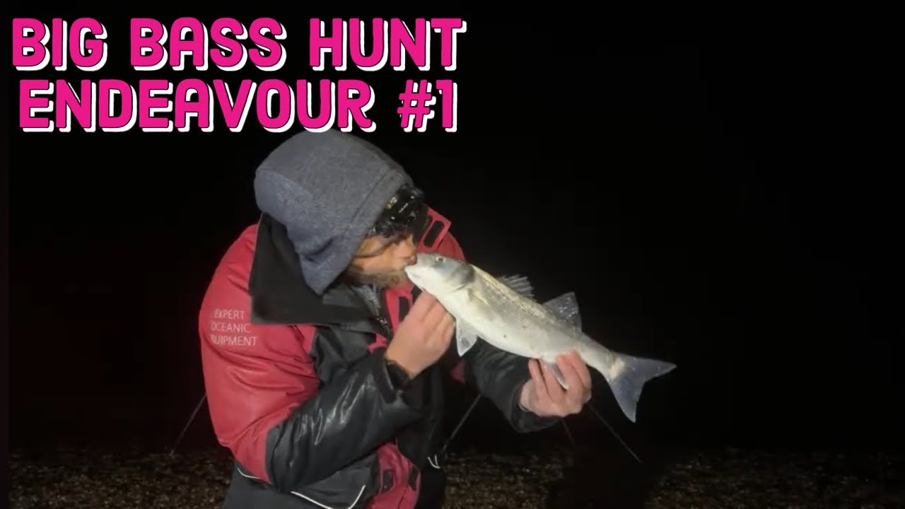 Big Bass, Cod, Ray & Conger Fishing | Hayling Island - YouTube