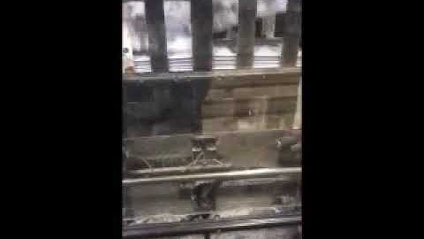 ATS Bander and Rima compensating stacker