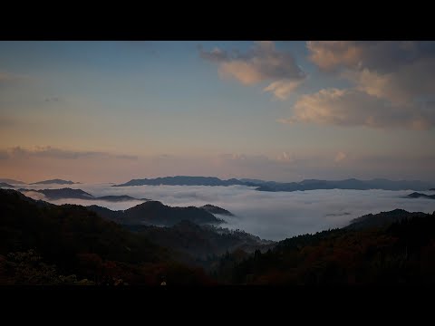 Noma Unkai View Spot live cam preview