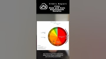 Key findings from CISA