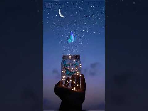 حاله واتس عبد الحليم حافظ النجمه مالت على القمر فوق في