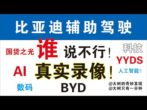 比亚迪！辅助真实逆转瞬间！高光时刻 别小看中国制造，比亚迪汉，比亚迪唐 比亚迪宋 比亚迪元 比亚迪秦比亚迪海豹 比亚迪海豚 比亚迪海豹 比亚迪驱逐舰 比亚迪仰望《大树一分钟》