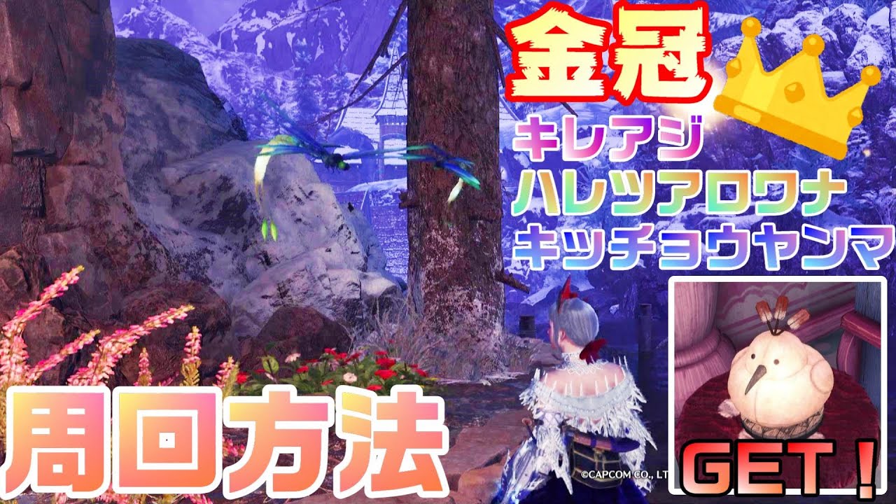 ヤンマ 金冠 チョウ キッ 【MHW IB】金冠サイズの環境生物を捕まえる方法