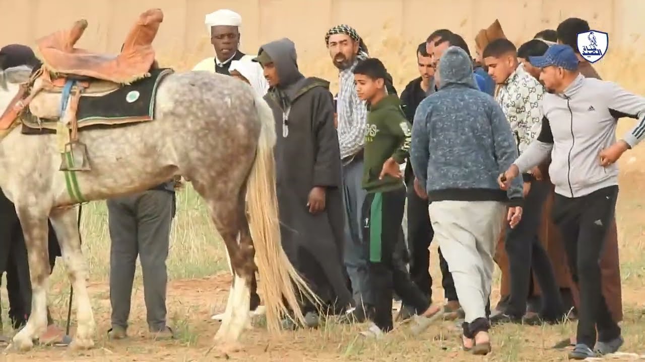 سقوط فارس عن جواده – لحظة غير متوقعة! | The Fall of a Knight from His Horse