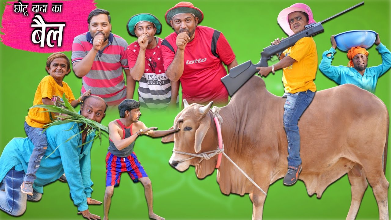 chotu dada ka bail | छोटू दादा का बैल | chhotu dada khandesh comedy video | 