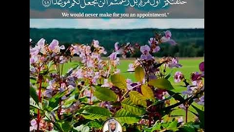 | واضرب لهم مثل الحياة الدنيا كماء أنزلناه من السماء | مقطع من سورة الكهف | عبدالولي الاركاني