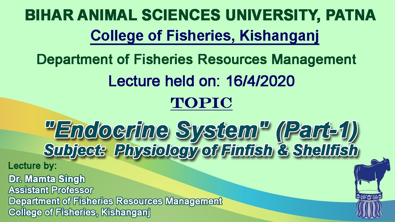 "Endocrine System" (Part1). Subject Physiology of Finfish & Shellfish by Dr. Mamta Singh YouTube
