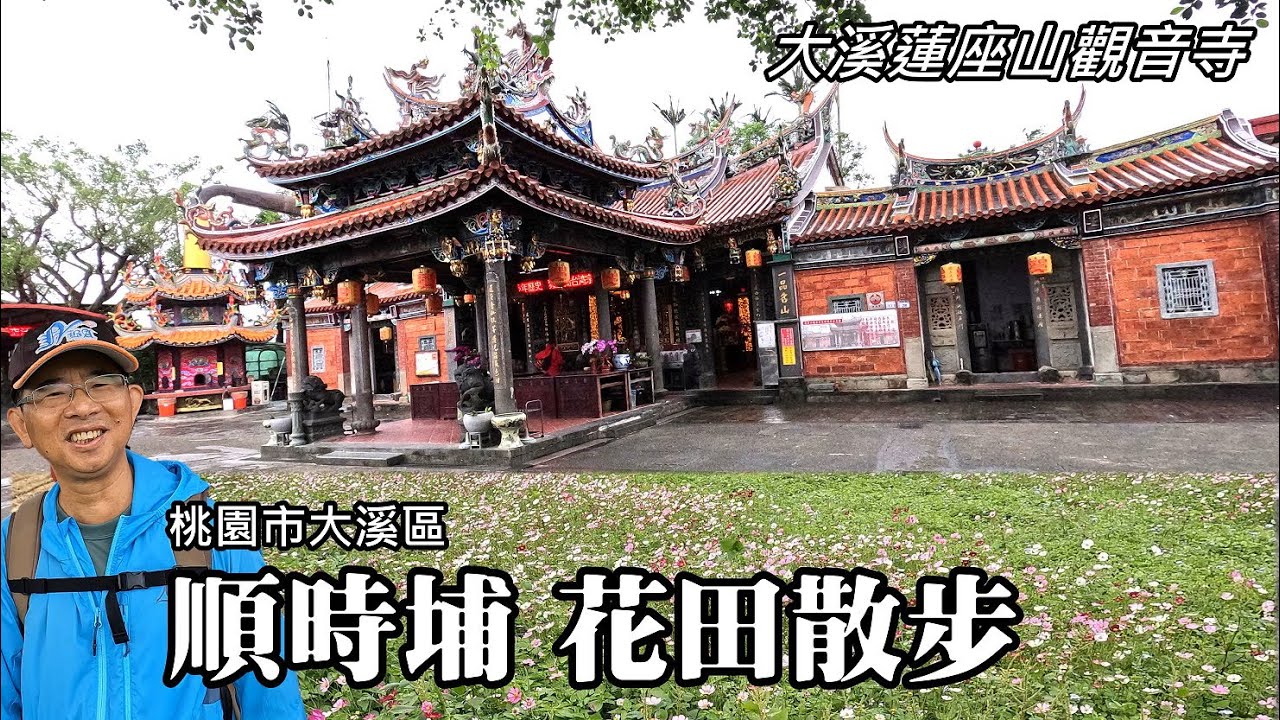 大溪蓮座山觀音寺、順時埔農村花田 (桃園市大溪區)