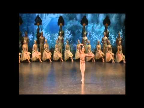 Bayadere  Michal