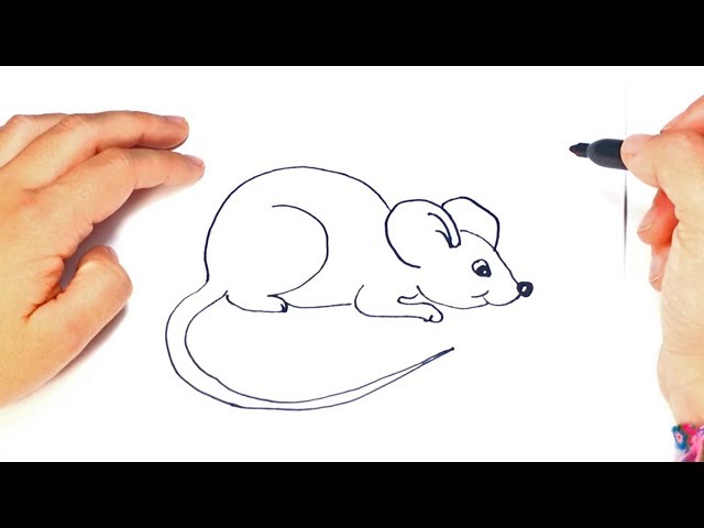 How To Draw Cartoon Mouse, you will enjoy this!