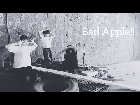 【食物戦隊】Bad Apple 踊ってみた　【10th】