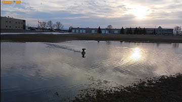 Hailboxing HBX 901a How to Fix Rear Bearing Carrier // More Insane Driving on Water 3s HP161s & 901a