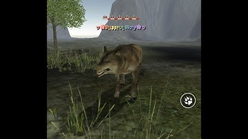 Colorful Name Display - Wolf Online Tutorial