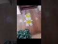 Little Artist Kolam Magic 🎨✨ | 5 Year Kid Talent 🐻 #ViralShorts #shorts#shortsfeed #ytshorts #yt