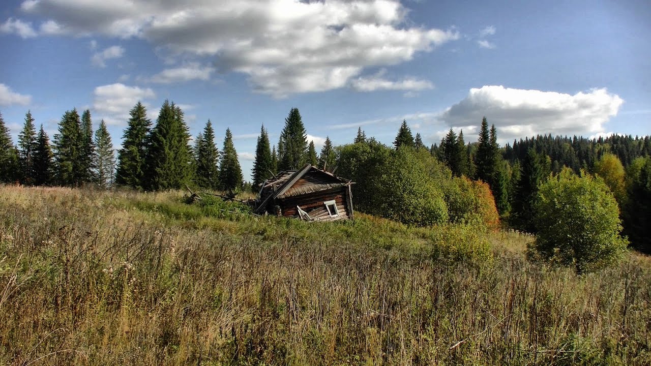 Разведка в глухомани #533