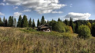 картинка: Разведка в глухомани #533