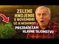 Zelené hnojenie v novembri: UŽ JE NESKORO?! Prezrádzam hlavné tajomstvo podzimného výsevu.