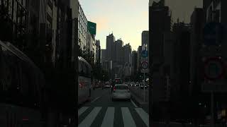 Shinjuku City holds the Guinness World Record for the busiest railway station